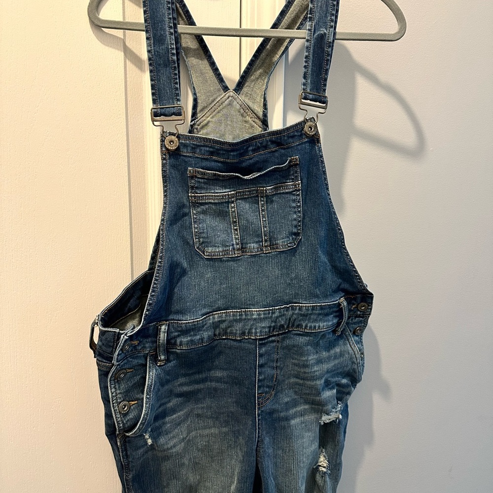 Torrid Denim Overalls